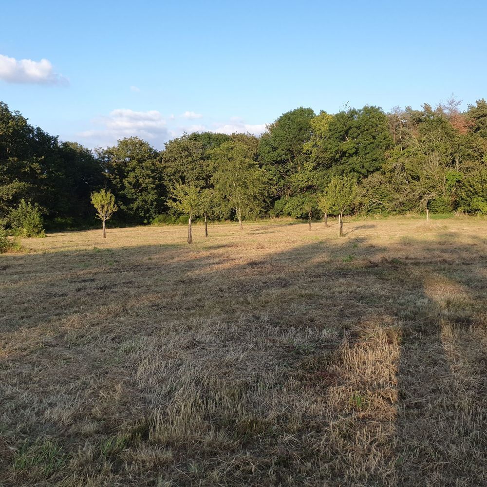 Vente Terrain Terrain Constructible 1,23ha (12350 m2) 8,5 € m2 à Débattre Tronget