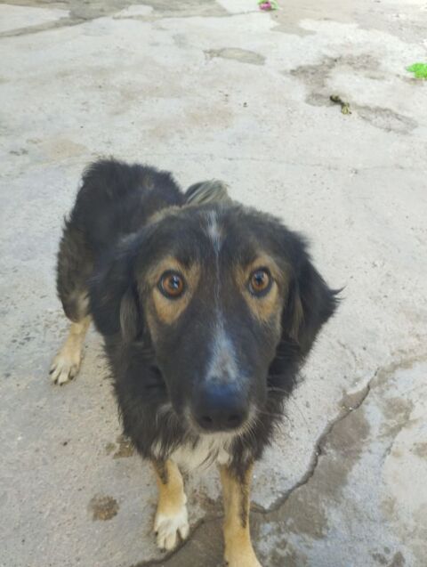 ILDE🩵   le prochain camion doit &ecirc;tre le sien ,  ne le laissez pas rester sur le quai du bonheur. 315 24140 Douville