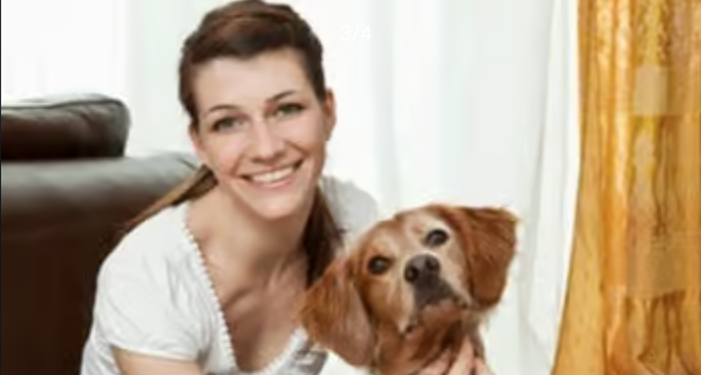   PET SITTER PARIS 13ème
Pas d'hébergement 