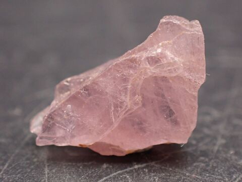 Diaspore rose , Goshta ,District de Nangarhar , Afghanistan 22 Moyenmoutier (88)