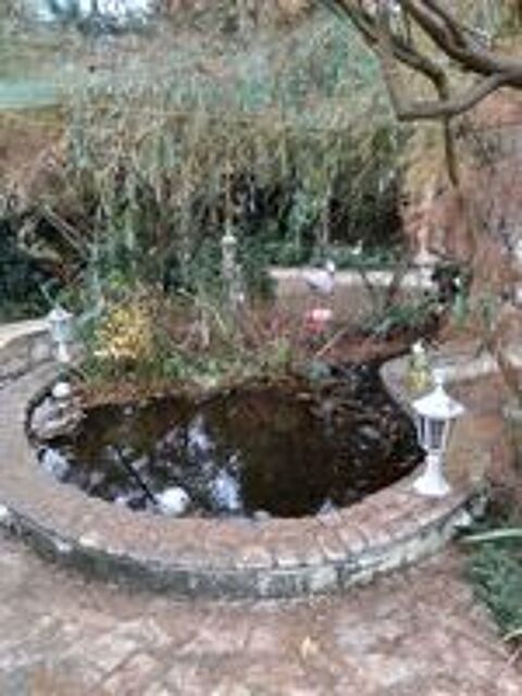   cherche don de poissons d'aquarium 