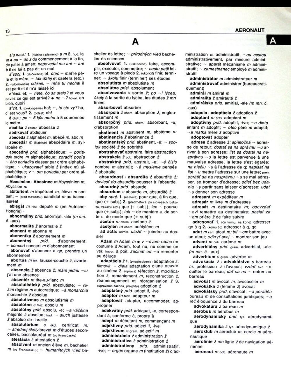 Dictionnaire Slovaque - fran&ccedil;ais et Fran&ccedil;ais Slovaque Livres et BD