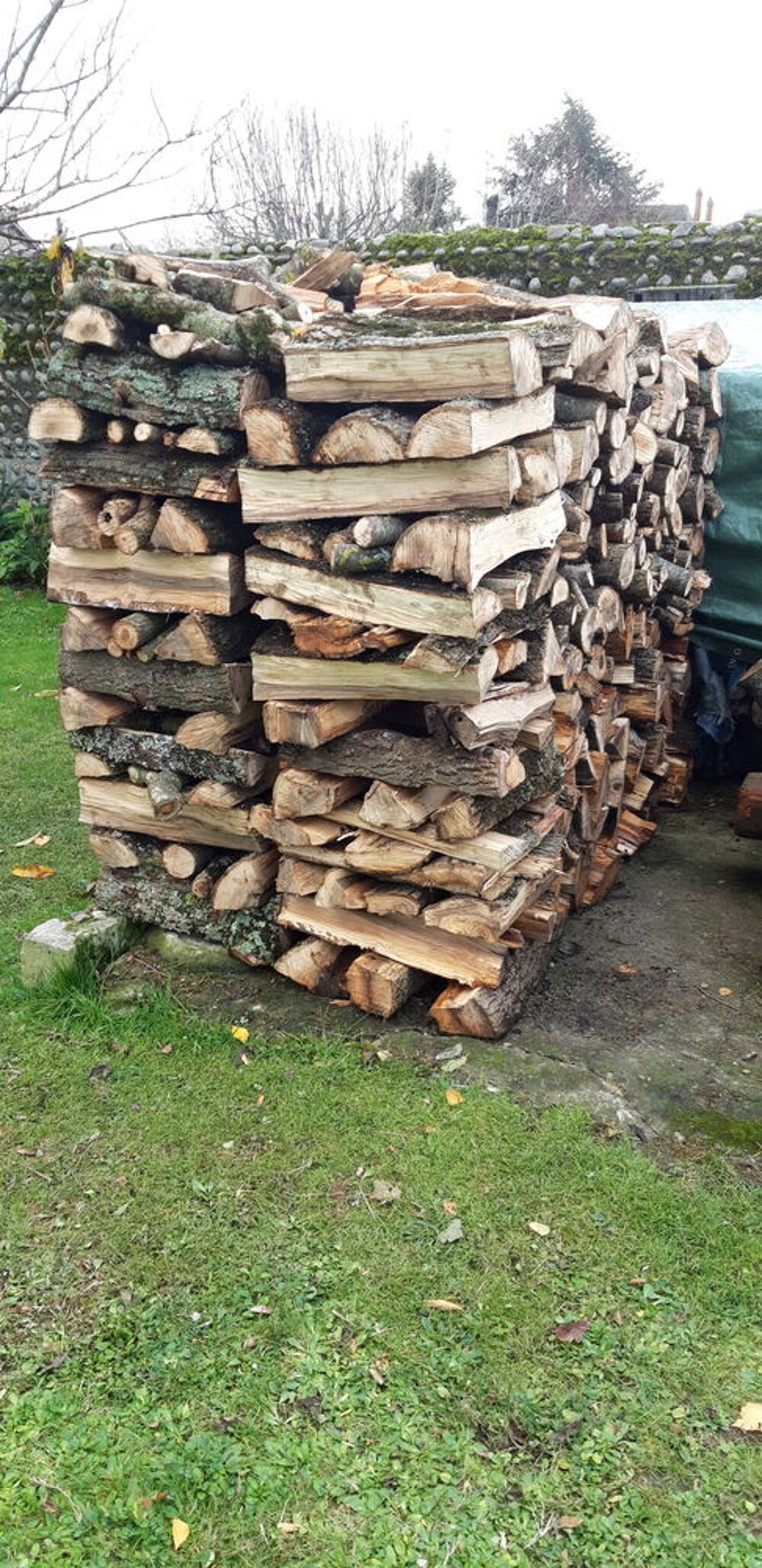 BOIS de chauffage Jardin