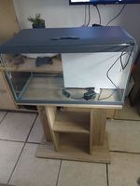   Aquarium tropical 60 avec meuble 