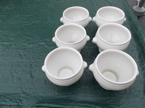 BOLS A GRATINE SOUPE TTE DE LION 5 Bourges (18)