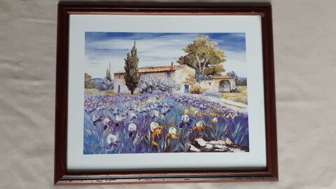Tableau iris 6 Grisolles (82)