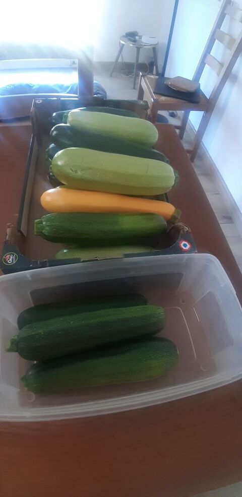 legumes cultives sans engrais chimiques ni pesticides 0 18000 Bourges