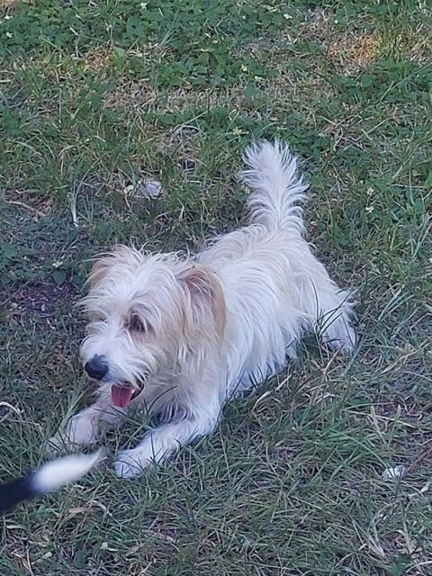 CHOUPI 0 75018 Paris