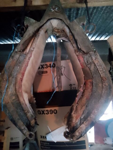 Collier attelage pour cheval 20 Panzoult (37)