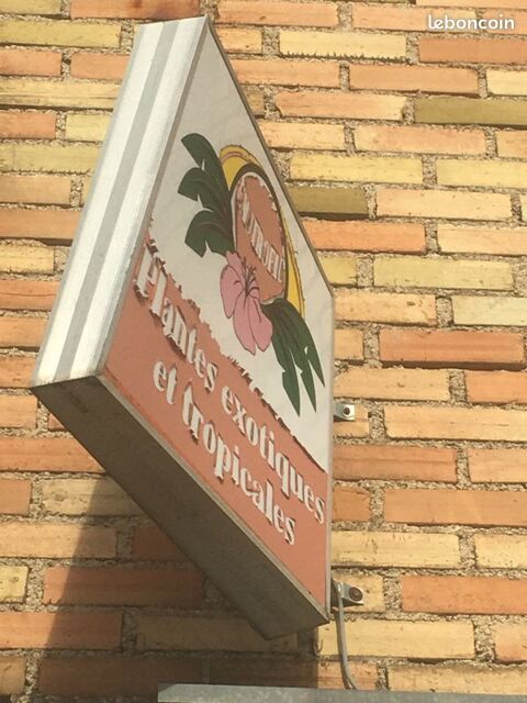 Enseigne lumineuse alu /plante tropicale , exotique 65 Castres (81)