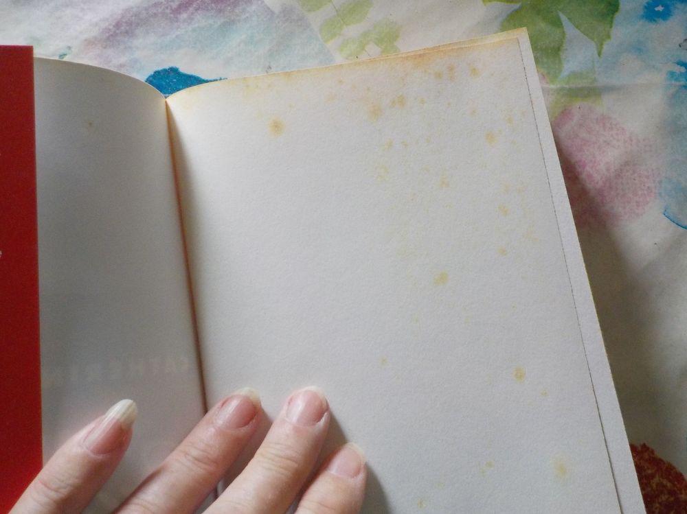 CHRONIQUES D'UNE CROQUEUSE de Catherine TOWNSEND Livres et BD