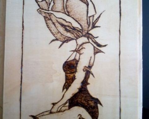 PYROGRAVURE SUR BOIS FAITE MAIN 8 Saint-Di�-des-Vosges (88)