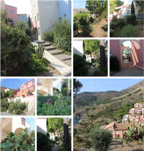  Appartement � louer 3 pi�ces 35 m�