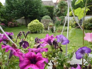  Appartement � louer 1 pi�ce 30 m�