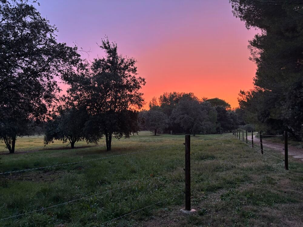 Location Maison Charmante maison meublée- 63m2 dans les Alpilles au calme Fontvieille
