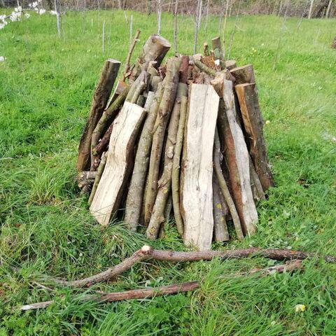 bois de chauffage 60 Luon (85)