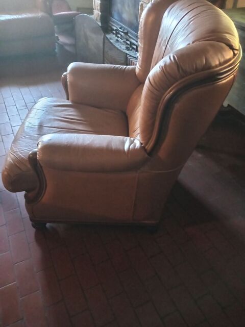 Fauteuil cuir Dangé-Saint-Romain (86)