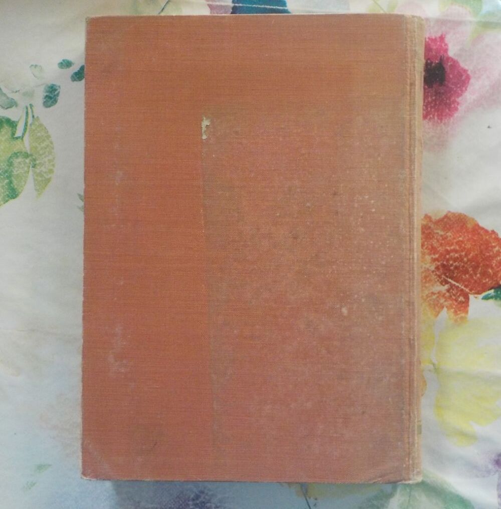 LE PETIT CHASSEUR DE LA PAMPA de Arnold GALOPIN 1 &agrave; 50 1925 Livres et BD