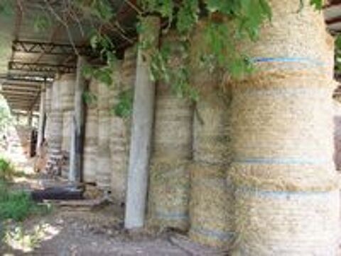   balles   ronde  foin  au    d�tail  
