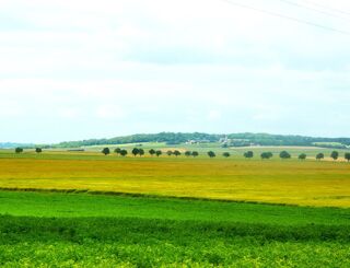  Terrain à vendre 509 m² Bourgogne
