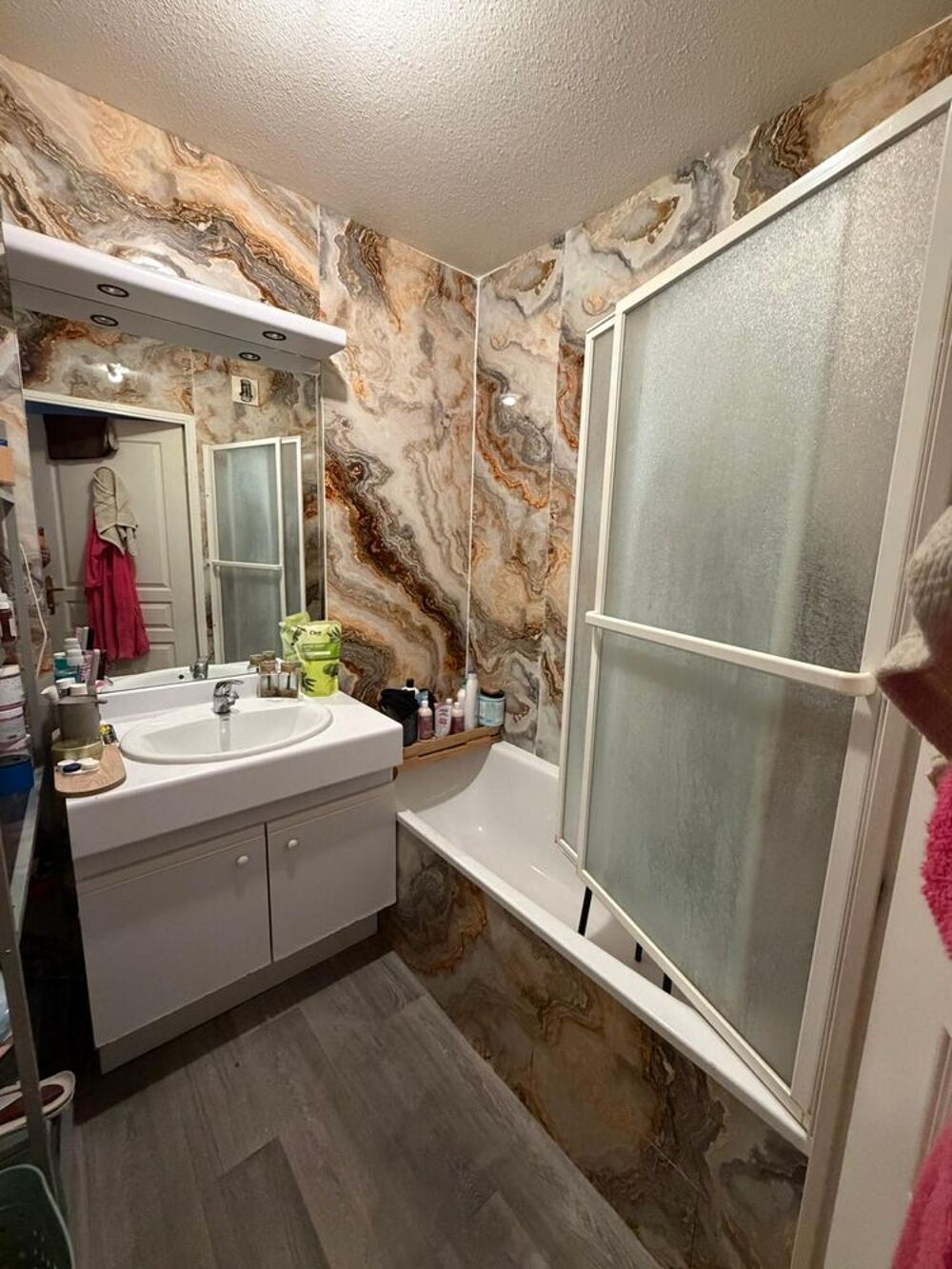 Location Appartement Particulier jolie t2 avec jardin fermé sécurisé Lyon 3