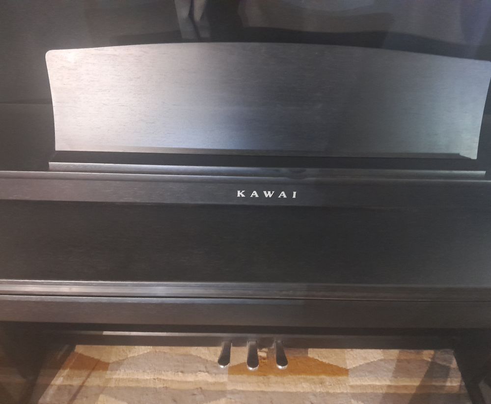 Piano num&eacute;rique Kawai CN39 Instruments de musique