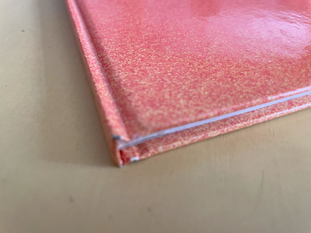 LES BIDOCHON Edition Originale Tome 6 VOYAGE ORGANISE EO Aud 