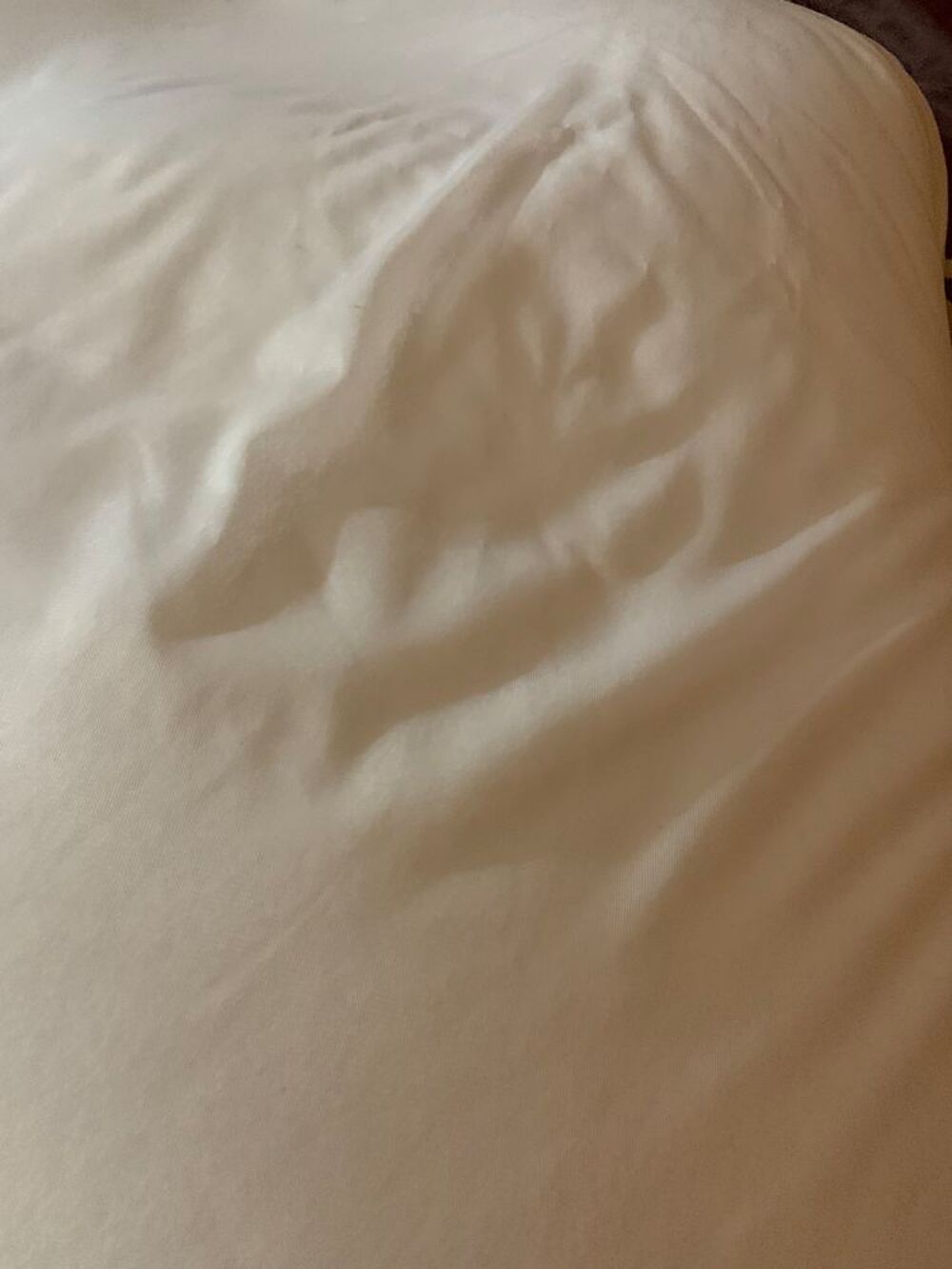 Coussin XXL Décoration