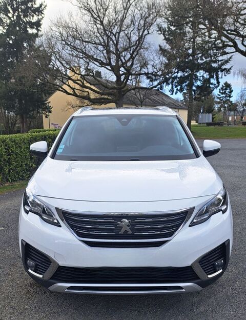 Peugeot 5008 2.0 BlueHDi 150ch S&S BVM6 Allure 2017 occasion Soudan 44110