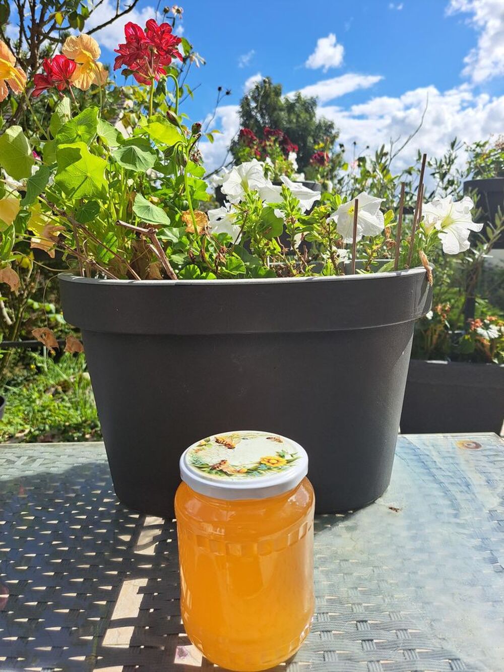 MIEL DE TILLEUL POTS 1 KG Jardin