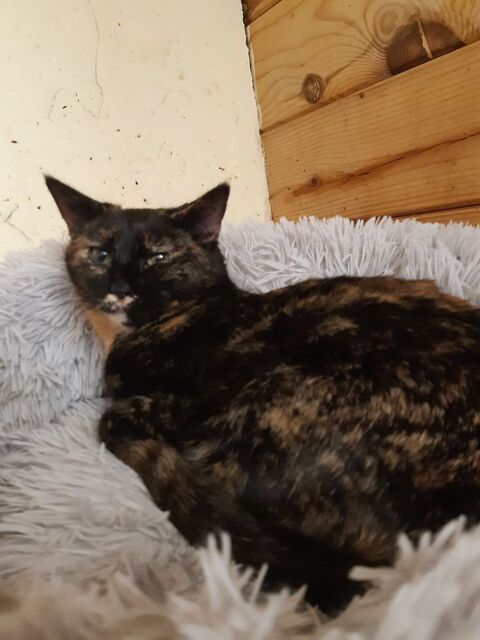 THAIS 240 92400 Courbevoie