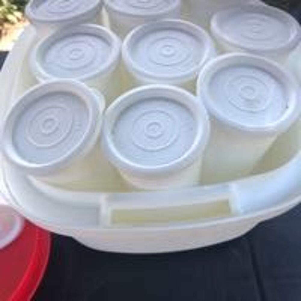 Yaourti&egrave;re Tupperware occasion Electroménager