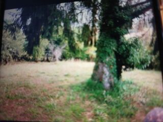  Terrain � vendre 1600 m� Nailhac