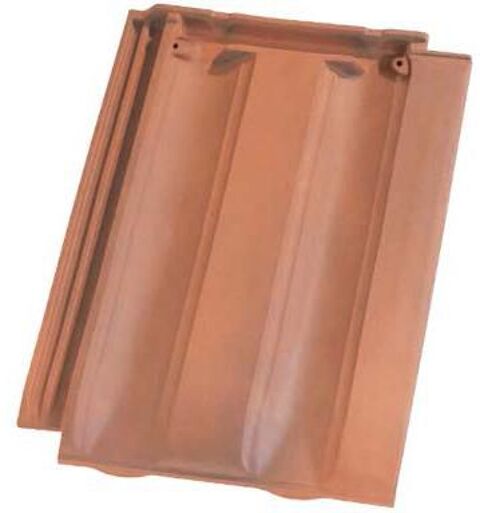 tuile huguenot PV 10 100 55000 Rumont