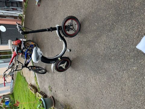 draisienne �lectrique  200 Marchezais (28)