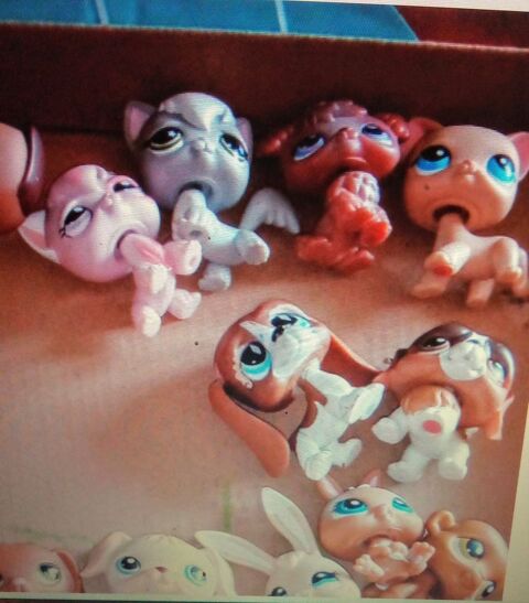 Petshop occasion - ParuVendu