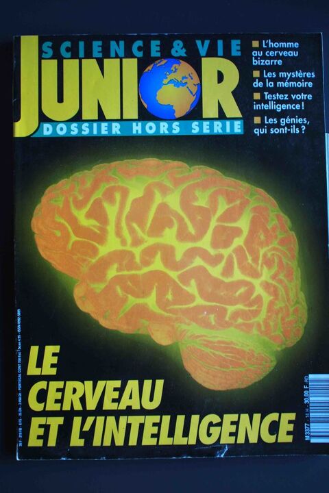 Le cerveau et l'intelligence - Science et vie junior, 3 Rennes (35)