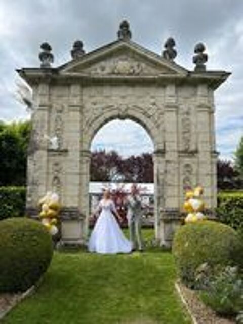   colombe Pigeon Hubbel pour mariage etc 