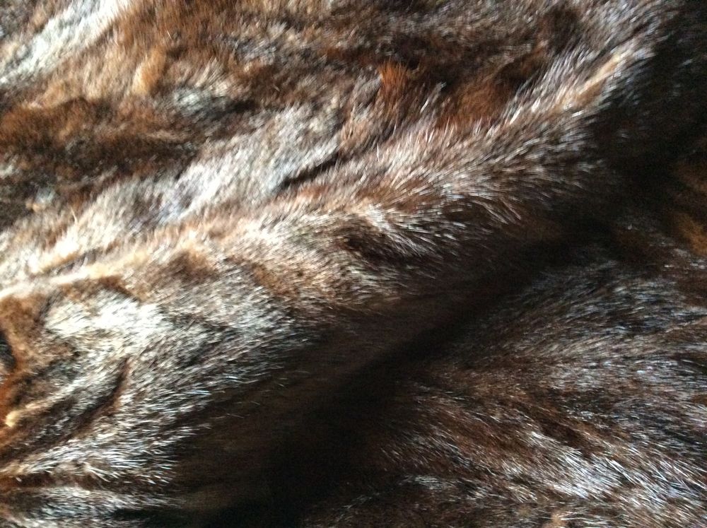 Manteau en vison v&eacute;ritable Vêtements