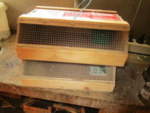   cage pour canaris 