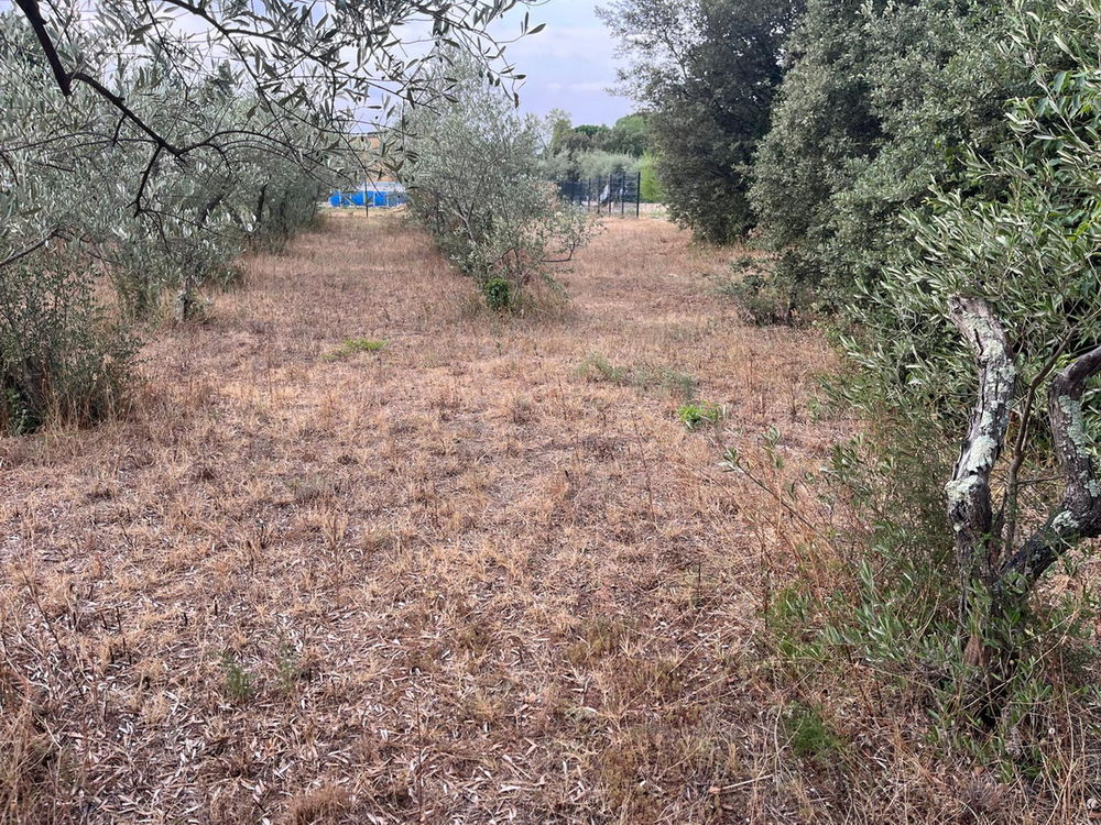 Vente Terrain Gard - Grand Terrain constructible HORS lotissement Villevieille