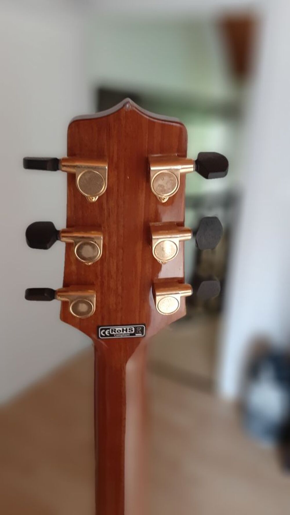 av guitare TAKAMINE Instruments de musique