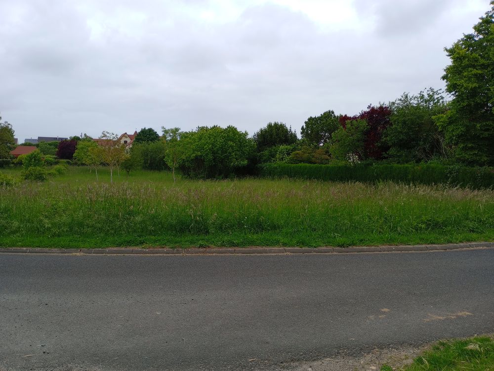 Vente Terrain Terrain constructible 37160 La celle-Saint-Avant. La celle-saint-avant