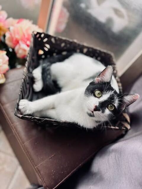 BUZ ET HARIBO 90 13140 Miramas