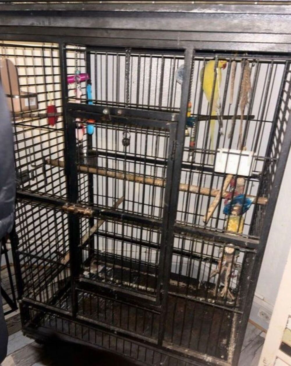 cage oiseau Meubles
