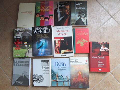 Lot de 13 romans grand format 10 Herblay (95)