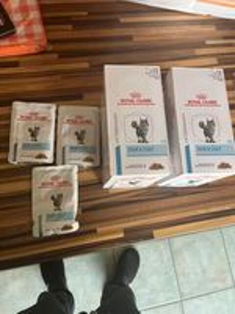   Croquettes et pâtés pour chat ? et dons 