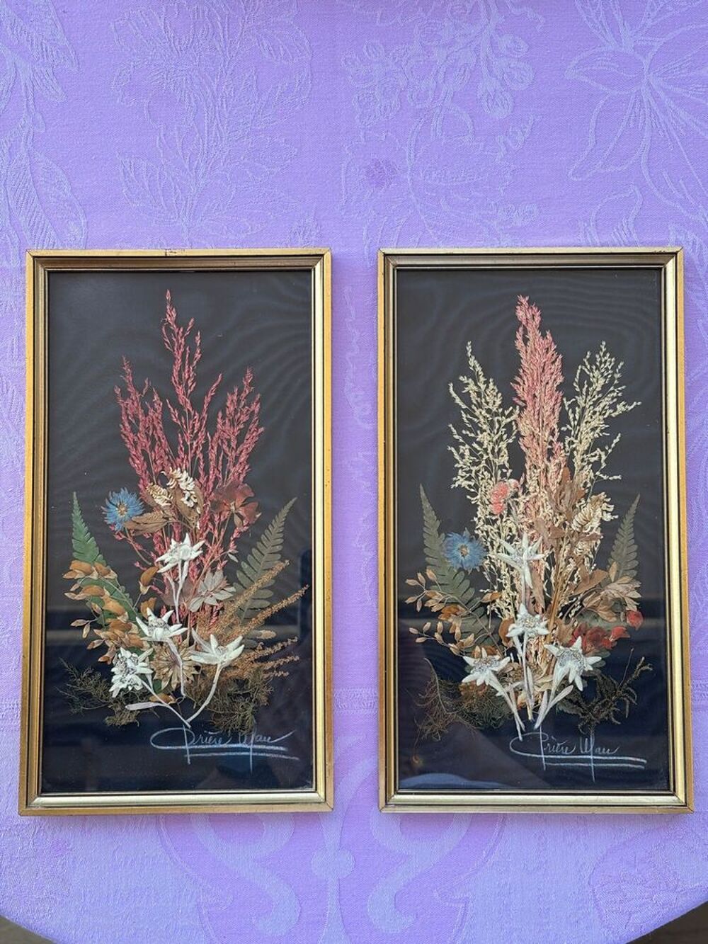 Tableau Herbier Décoration
