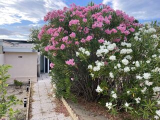  Maison � vendre 2 pi�ces 40 m� Torreilles