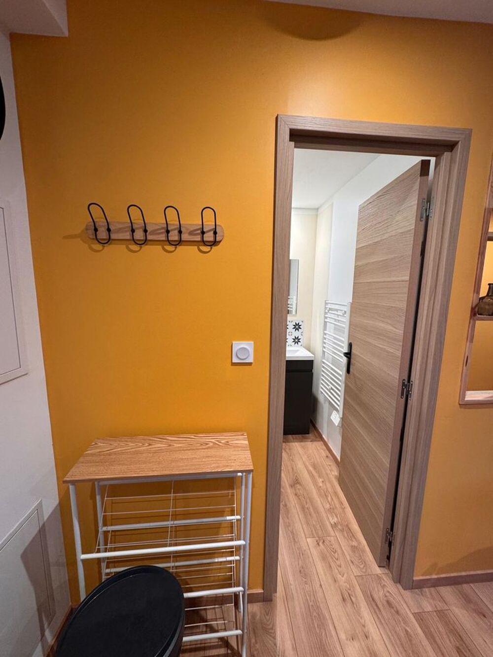 Location Appartement STUDIO MEUBLÉ 21 M2 AVEC PLACE DE PARKING ET CAVE. Mâcon